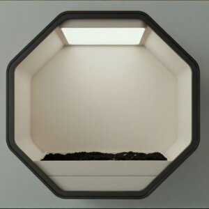 The Octagon in motion